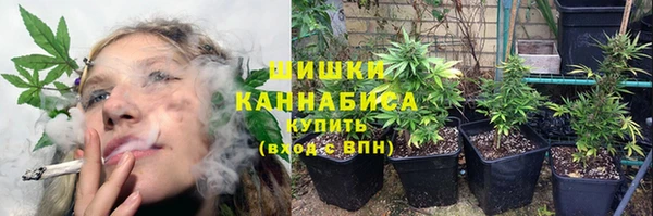 амф Богородск